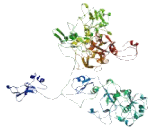 FANCD2/FANCI Associated Nuclease 1 (FAN1)