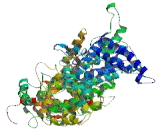 FAST Kinase Domains Protein 1 (FASTKD1)