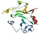 FAST Kinase Domains Protein 3 (FASTKD3)