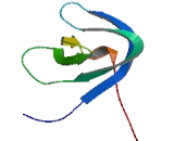 FCH And Double SH3 Domains Protein 1 (FCHSD1)