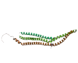 FCH Domain Only Protein 1 (FCHO1)