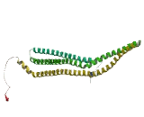 FCH Domain Only Protein 2 (FCHO2)