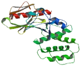 FERM, RhoGEF And Pleckstrin Domain Containing Protein 1 (FARP1)