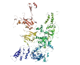 FERM And PDZ Domain Containing Protein 3 (FRMPD3)