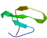 FERM And PDZ Domain Containing Protein 4 (FRMPD4)