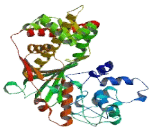 FGGY Carbohydrate Kinase Domain Containing Protein (FGGY)