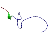 FH2 Domain Containing Protein 1 (FHDC1)