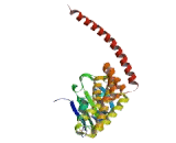 FK506 Binding Protein 4 (FKBP4)