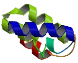 FK506 Binding Protein Like Protein (FKBPL)