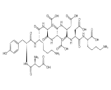 FLAG Octapeptide (FLAG)