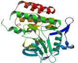 FMS Like Tyrosine Kinase 3 (Flt3)