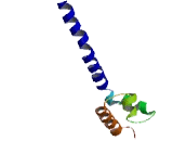 FOP Related Protein Of 20kDa (FOR20)