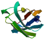 FRAS1 Related Extracellular Matrix Protein 2 (FREM2)