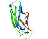 FRAS1 Related Extracellular Matrix Protein 3 (FREM3)