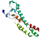 FSHD Region Gene 2C (FRG2C)