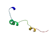 FXYD Domain Containing Ion Transport Regulator 3 (FXYD3)