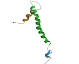 FXYD Domain Containing Ion Transport Regulator 8 (FXYD8)