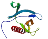 FYVE, RhoGEF And PH Domain Containing Protein 5 (FGD5)