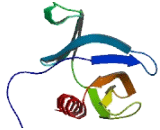 FYVE, RhoGEF And PH Domain Containing Protein 6 (FGD6)