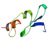 FYVE, RhoGEF And PH Domain Containing protein 1 (FGD1)