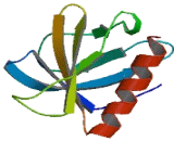 FYVE, RhoGEF And PH Domain Containing protein 3 (FGD3)