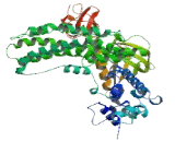 FYVE, RhoGEF And PH Domain Containing protein 4 (FGD4)