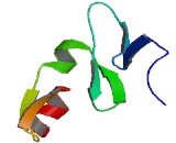 FYVE And Coiled Coil Domain Containing Protein 1 (FYCO1)