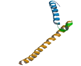 Factor In the Germline Alpha (FIGLa)