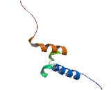 Family With Sequence Similarity 100, Member A (FAM100A)