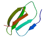 Family With Sequence Similarity 101, Member A (FAM101A)