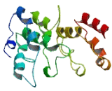 Family With Sequence Similarity 101, Member B (FA<b>M101</b>B)