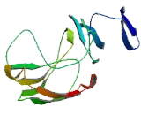 Family With Sequence Similarity 102, Member A (FAM102A)