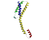 Family With Sequence Similarity 107, Member B (FAM107B)