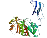 Family With Sequence Similarity 108, Member B (FAM108B)