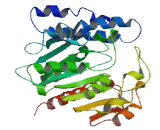 Family With Sequence Similarity 108, Member C1 (FAM108C1)