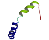 Sesquipedalian 2 (Ses2)