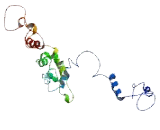 Family With Sequence Similarity 110, Member A (FAM110A)