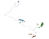 Family With Sequence Similarity 110, Member C (FAM110C)