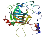 Family With Sequence Similarity 111, Member A (FAM111A)