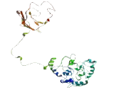 PC Esterase Domain Containing Protein 1A (PCED1A)