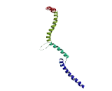 Family With Sequence Similarity 114, Member A2 (FAM114A2)