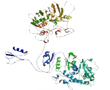 Family With Sequence Similarity 115, Member A (FAM115A)