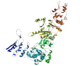 Family With Sequence Similarity 115, Member C (FAM115C)