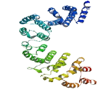 Family With Sequence Similarity 116, Member A (FAM116A)