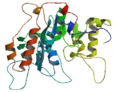 Family With Sequence Similarity 120, Member C (FAM120C)