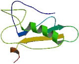 Family With Sequence Similarity 125, Member A (FAM125A)