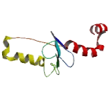 Family With Sequence Similarity 126, Member B (FAM126B)