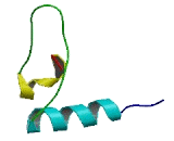 Family With Sequence Similarity 127, Member B (FAM127B)