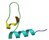 Family With Sequence Similarity 127, Member C (FAM127C)