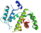 Family With Sequence Similarity 13, Member A (FAM13A)